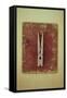 Single Clothes Peg-Den Reader-Framed Stretched Canvas