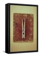 Single Clothes Peg-Den Reader-Framed Stretched Canvas