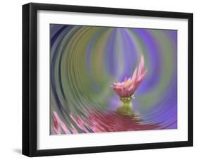 Single Common Zinnia Flower in Garden, Rockport, Maine, Usa-Adam Jones-Framed Photographic Print