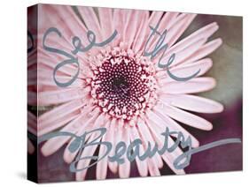 Single Daisy-Susan Bryant-Stretched Canvas