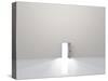 Single Door In Pure White Space Emits Light-rolffimages-Stretched Canvas