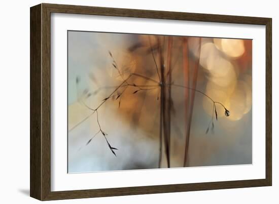 Single Drop Fall-Heidi Westum-Framed Photographic Print