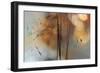 Single Drop Fall-Heidi Westum-Framed Photographic Print