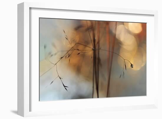 Single Drop Fall-Heidi Westum-Framed Photographic Print