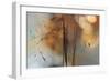 Single Drop Fall-Heidi Westum-Framed Photographic Print