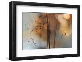 Single Drop Fall-Heidi Westum-Framed Photographic Print