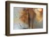 Single Drop Fall-Heidi Westum-Framed Premium Photographic Print