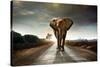 Single Elephant Walking in a Road with the Sun from Behind-Carlos Caetano-Stretched Canvas