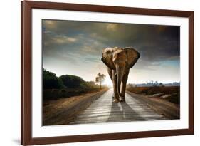 Single Elephant Walking in a Road with the Sun from Behind-Carlos Caetano-Framed Photographic Print