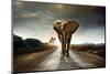 Single Elephant Walking in a Road with the Sun from Behind-Carlos Caetano-Mounted Photographic Print