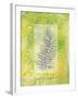 Single Fern-Bee Sturgis-Framed Art Print