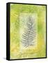 Single Fern-Bee Sturgis-Framed Stretched Canvas