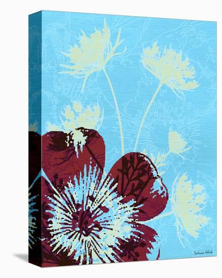 Single Flower and Queen Anne IV-Catherine Kohnke-Stretched Canvas