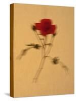 Single Flower on Tan Background-Will Wilkinson-Stretched Canvas