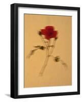 Single Flower on Tan Background-Will Wilkinson-Framed Photographic Print