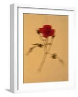 Single Flower on Tan Background-Will Wilkinson-Framed Photographic Print