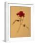 Single Flower on Tan Background-Will Wilkinson-Framed Photographic Print