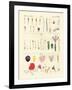 Single Flower Parts-null-Framed Giclee Print