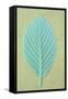 Single Fresh Spring Green Leaf Whitebeam or Sorbus Aria Tree-Den Reader-Framed Stretched Canvas