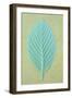 Single Fresh Spring Green Leaf Whitebeam or Sorbus Aria Tree-Den Reader-Framed Photographic Print