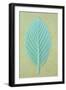 Single Fresh Spring Green Leaf Whitebeam or Sorbus Aria Tree-Den Reader-Framed Photographic Print