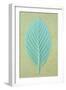 Single Fresh Spring Green Leaf Whitebeam or Sorbus Aria Tree-Den Reader-Framed Photographic Print