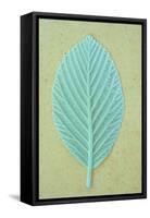 Single Fresh Spring Green Leaf Whitebeam or Sorbus Aria Tree-Den Reader-Framed Stretched Canvas