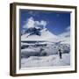 Single Gentoo Penguin on Ice in a Snowy Landscape, on the Antarctic Peninsula, Antarctica-Geoff Renner-Framed Photographic Print