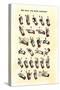 Single-Handed Alphabet in Sign Language, Used in the Us, 1800s-null-Stretched Canvas