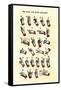 Single-Handed Alphabet in Sign Language, Used in the Us, 1800s-null-Framed Stretched Canvas