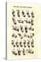 Single-Handed Alphabet in Sign Language, Used in the Us, 1800s-null-Stretched Canvas