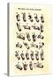 Single-Handed Alphabet in Sign Language, Used in the Us, 1800s-null-Stretched Canvas