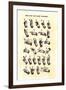 Single-Handed Alphabet in Sign Language, Used in the Us, 1800s-null-Framed Giclee Print