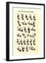 Single-Handed Alphabet in Sign Language, Used in the Us, 1800s-null-Framed Giclee Print
