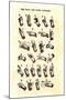 Single-Handed Alphabet in Sign Language, Used in the Us, 1800s-null-Mounted Giclee Print