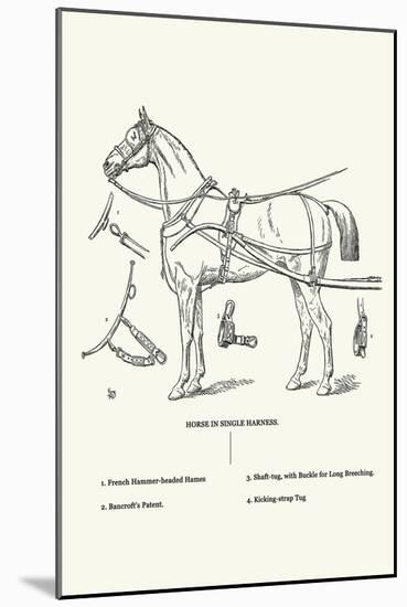 Single Harness Horse-Samuel Sidney-Mounted Art Print