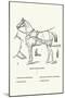 Single Harness Horse-Samuel Sidney-Mounted Art Print