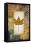 Single Leaf I-Michael Marcon-Framed Stretched Canvas