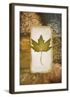 Single Leaf II-Michael Marcon-Framed Art Print