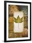 Single Leaf II-Michael Marcon-Framed Art Print