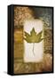 Single Leaf II-Michael Marcon-Framed Stretched Canvas