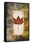 Single Leaf III-Michael Marcon-Framed Stretched Canvas