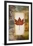 Single Leaf III-Michael Marcon-Framed Art Print