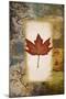 Single Leaf III-Michael Marcon-Mounted Art Print