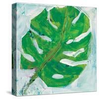 Single Leaf Play-Kellie Day-Stretched Canvas