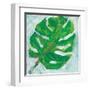 Single Leaf Play-Kellie Day-Framed Art Print