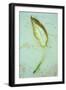 Single Leaf-Den Reader-Framed Photographic Print