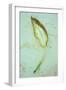 Single Leaf-Den Reader-Framed Photographic Print