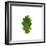 Single Leaf-Clive Nolan-Framed Photographic Print