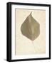 Single Leaf-Amy Melious-Framed Art Print